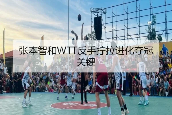 张本智和WTT反手拧拉进化夺冠关键