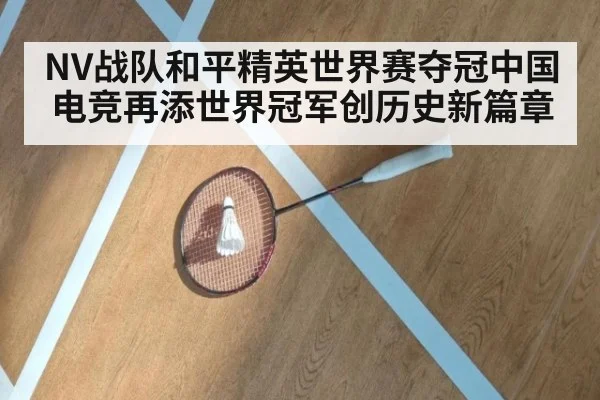 NV战队和平精英世界赛夺冠中国电竞再添世界冠军创历史新篇章